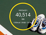 주작덕룡. 무박산..