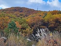 251102 주말 계양..