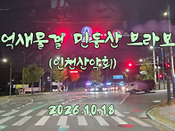 억새물결 민둥산 ..