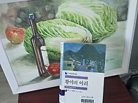 황야의 이리 - 헤르만 헤..