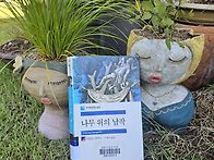 나무 위의 남작 - 이탈노 ..