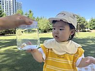 ♡ 6월 정약용자연놀이 -..