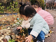 ♡11월 정약용 자연놀이(..