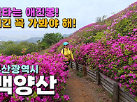 불타는 애진봉! 여긴 꼭 ..