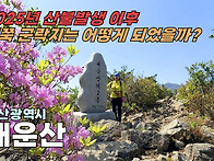 2025년 산불로 인한 대운..