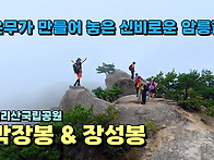 운무가 만들어 놓은 신비로..