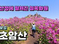 산정에 펼쳐진 화려한 철쭉..