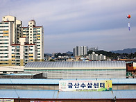 금산인삼세계축제..