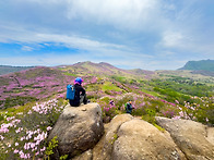 합천 감암산 & 황매산 철..
