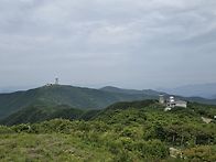 오랫만에 다시 달려 본 소..