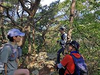 금오산(25/5/25)환종주 산..