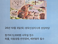 반려동물 축복식(26.10...