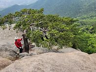 제 126차 정기산행/사패산..