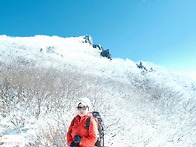 2026년 1월 11일/제133..