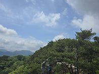 2025년 5월17일 괴산 사랑..