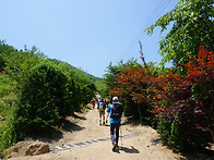 2026.06.13 양구 봉화산 ..