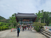 포항 보경사(내연산)(24..