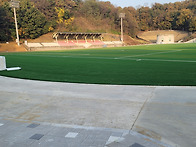 고려대학교