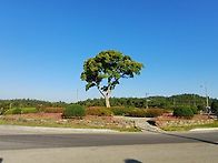 2026 전남 광주 ..