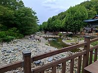 천성산 비로봉 가기