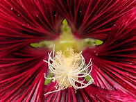 2026.05.28~제97회 ym..