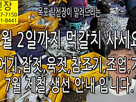 7월 제철 생선 (먹갈치,잡..