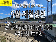 9월 제철생선(전어,양식새..