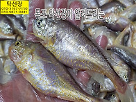 5월 29일, 황석어(소,중)..