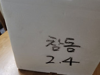 회 참돔 구매후기