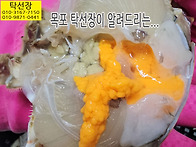 5월 7일, 활 암꽃게, 황..