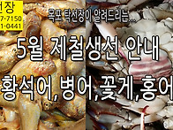 5월 제철 생선, 황석어, ..