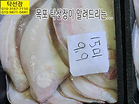 4월 14일, 숙성 홍어, 홍..