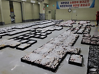 12월 10일(12물) 홍어, ..