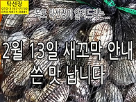 2월 13일, 꼬막에서 쓴 ..