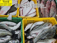 10월 22일, 자연산회, 민..