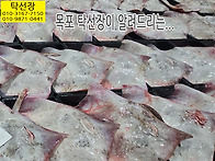 4월 10일, 홍어, 바지락,..