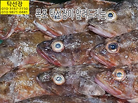 5월 22일, 쏨팽이, 열기,..