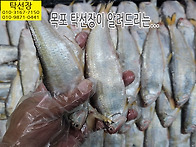 10월 28일, 밴댕이, 풀치..