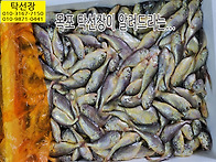 5월 23일, 황석어, 마른(..