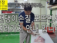 밴댕이손질, 밴댕이포뜨기..