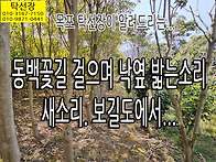 3월 28일, 보길도에서 동..