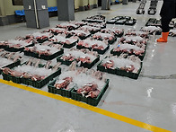 4월 13일(2물때) 민어, ..