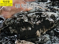 5월 15일, 참돔회, 활 꽃..