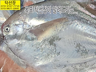 6월 16일, 병어, 밴댕이회..