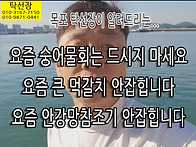 요즘 숭어 물회 드시지 마..
