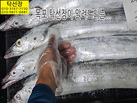 10월 16일, 참치, 파조기..