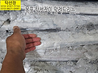 12월 17일, 참조기, 파조..