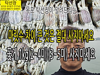 꽃게 마릿수 차이 심한 것..
