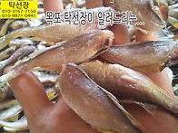 12월 19일, 참조기, 먹갈..