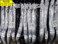 4월 29일, 자연산회, 암..